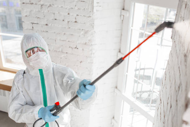 Best Air Quality Testing for Mold Spores  in Vley Grande, AL