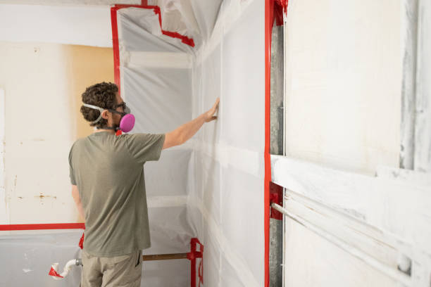 Reliable Valley Grande, AL Mold Removal Solutions