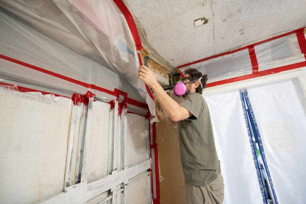 Best Post-Remediation Verification Testing  in Vley Grande, AL